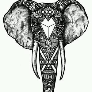 Meet your Posher, Karla